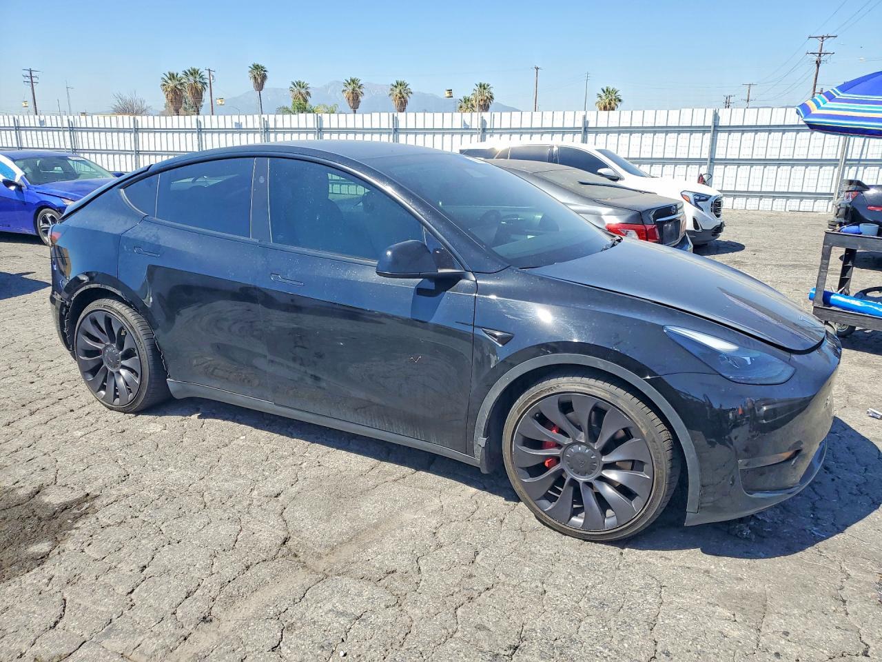 2023 Tesla Model Y - Фото 4
