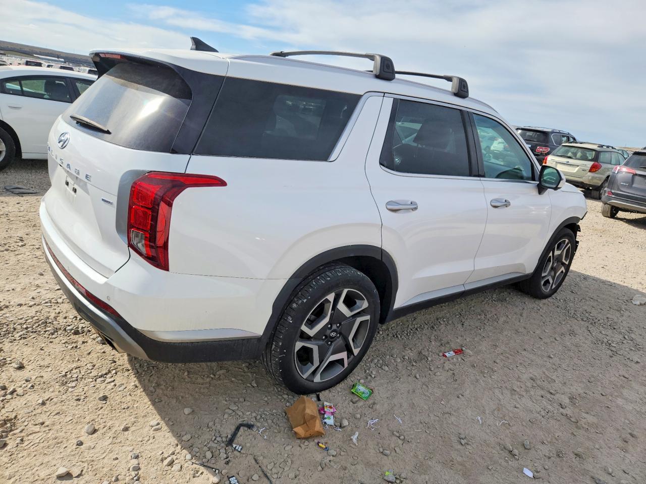 2023 Hyundai Palisade Sel - Фото 3