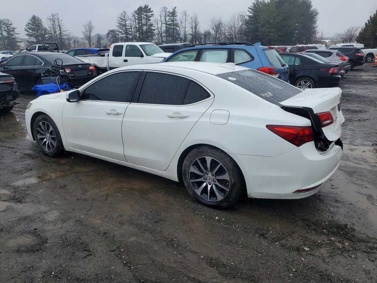 2017 Acura Tlx - Фото 2