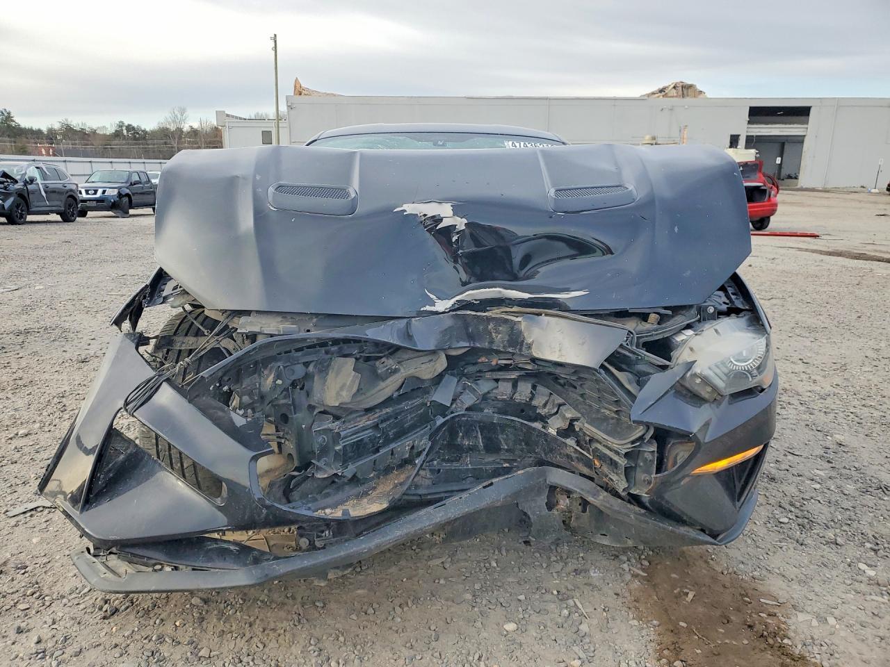 2019 Ford Mustang - Фото 5