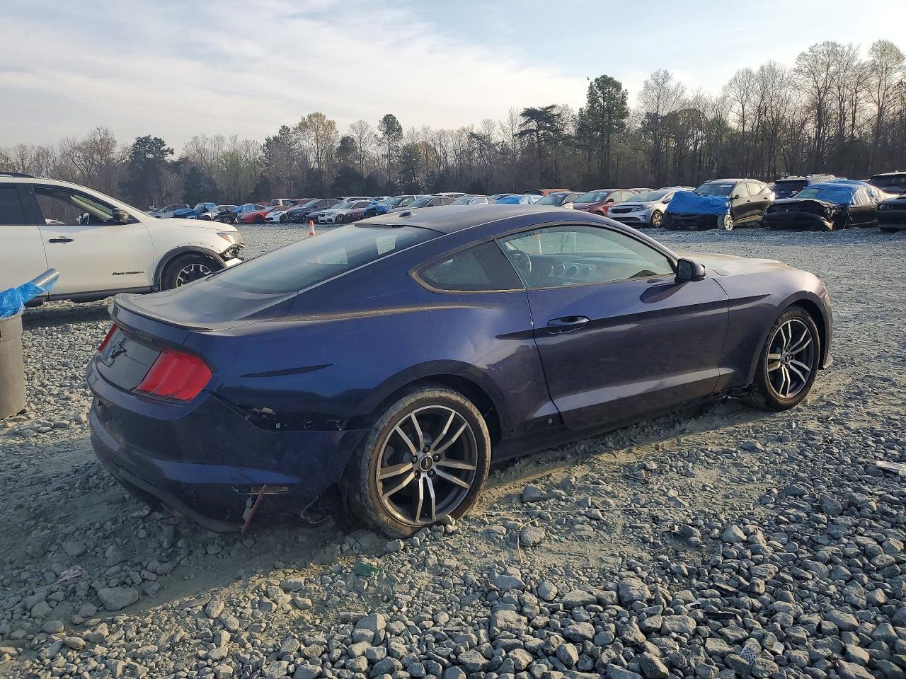 2019 Ford Mustang - Фото 3