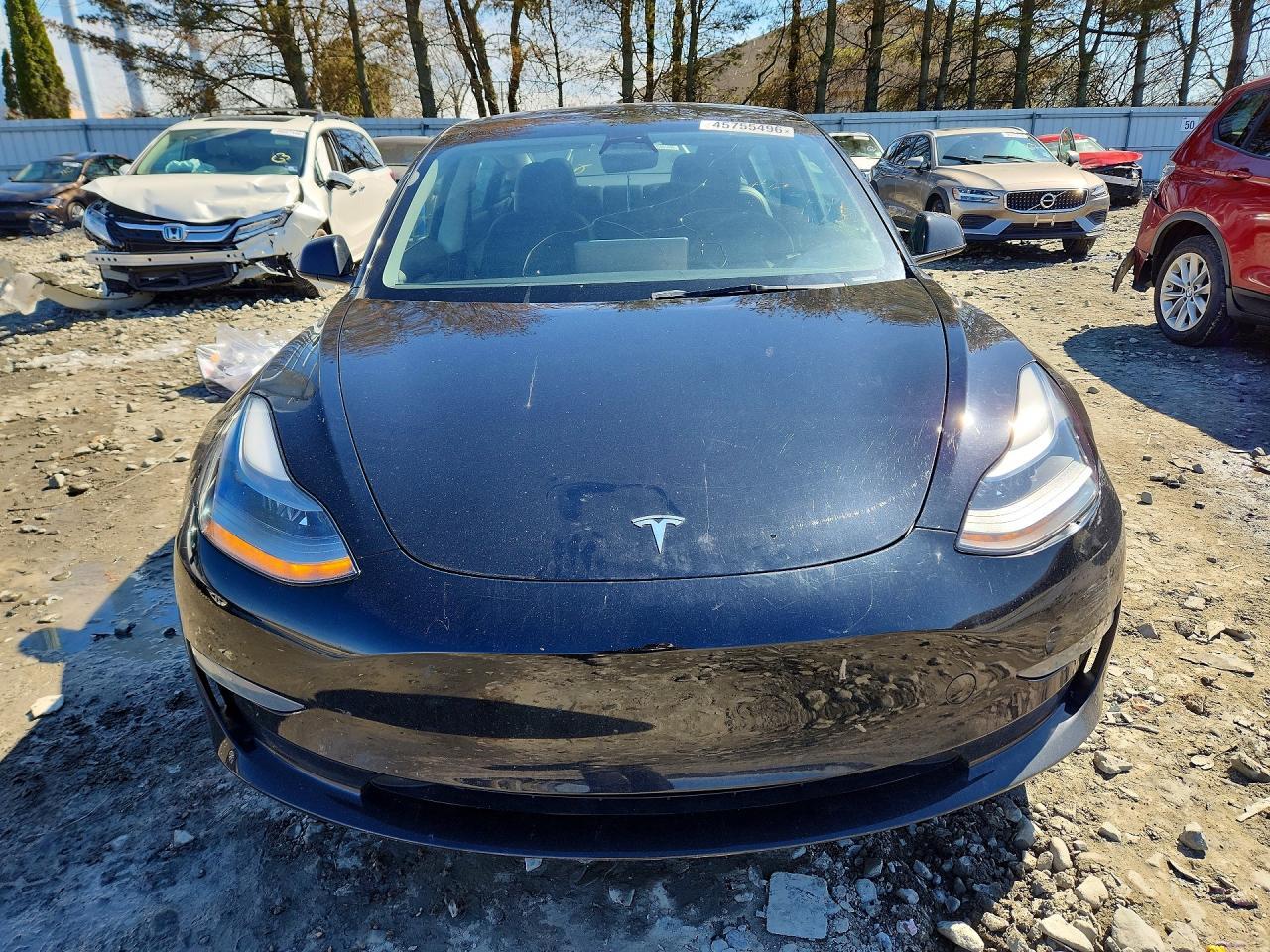 2023 Tesla Model 3 - Фото 5