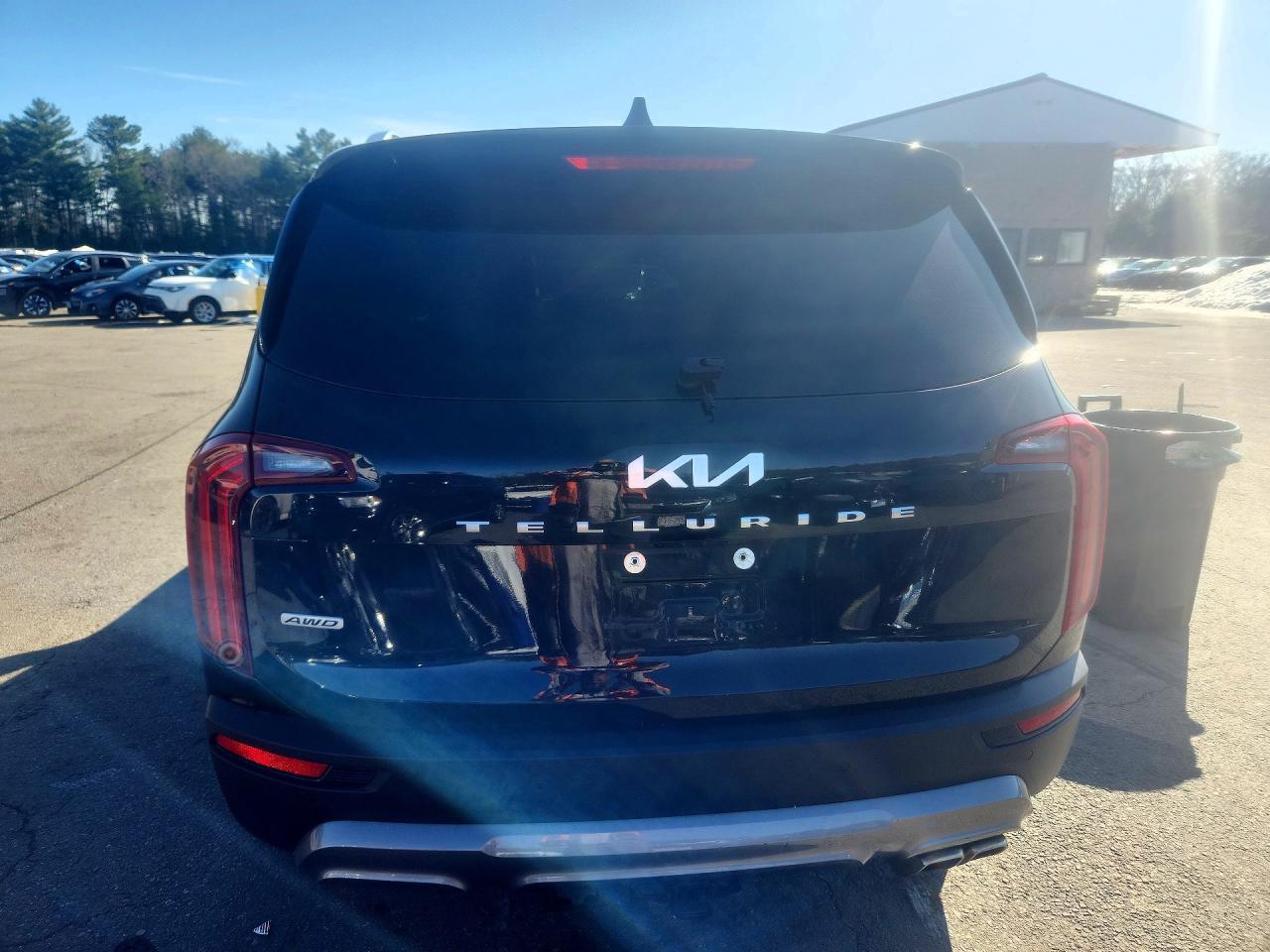 2022 Kia Telluride Sx - Фото 6