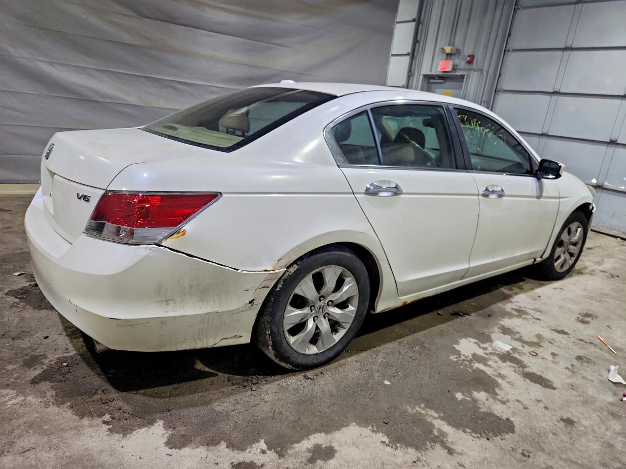 2009 Honda Accord Exl - Фото 3