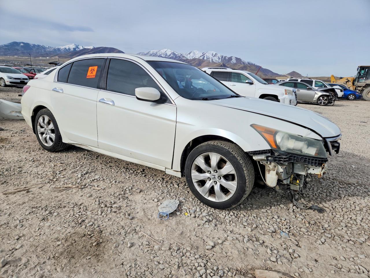 2008 Honda Accord Exl - Фото 4