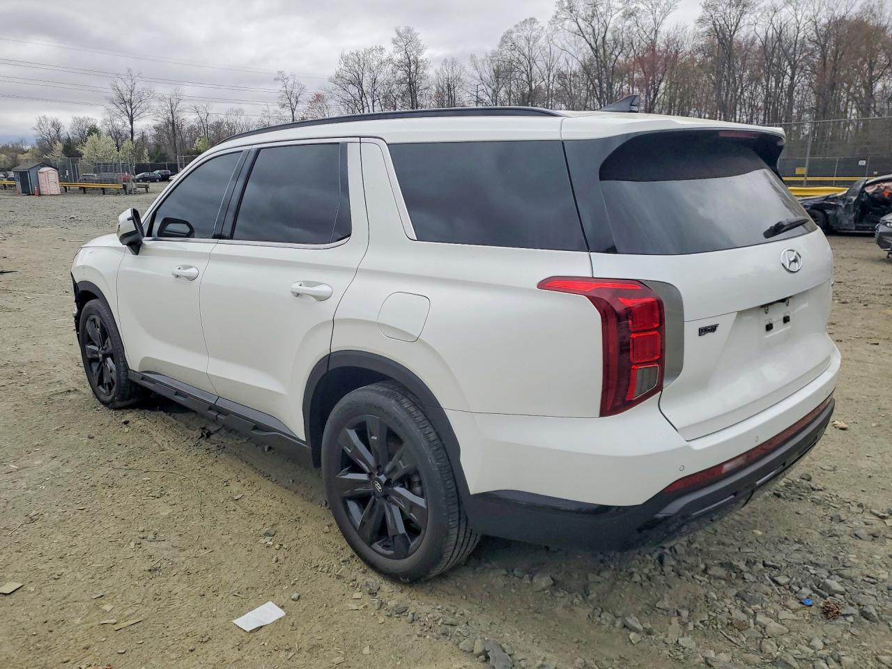 2023 Hyundai Palisade Xrt - Фото 2