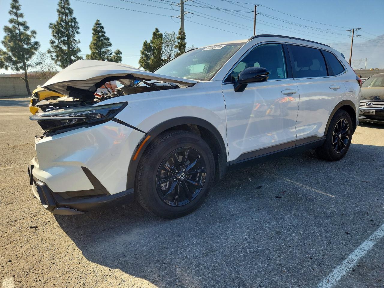 null