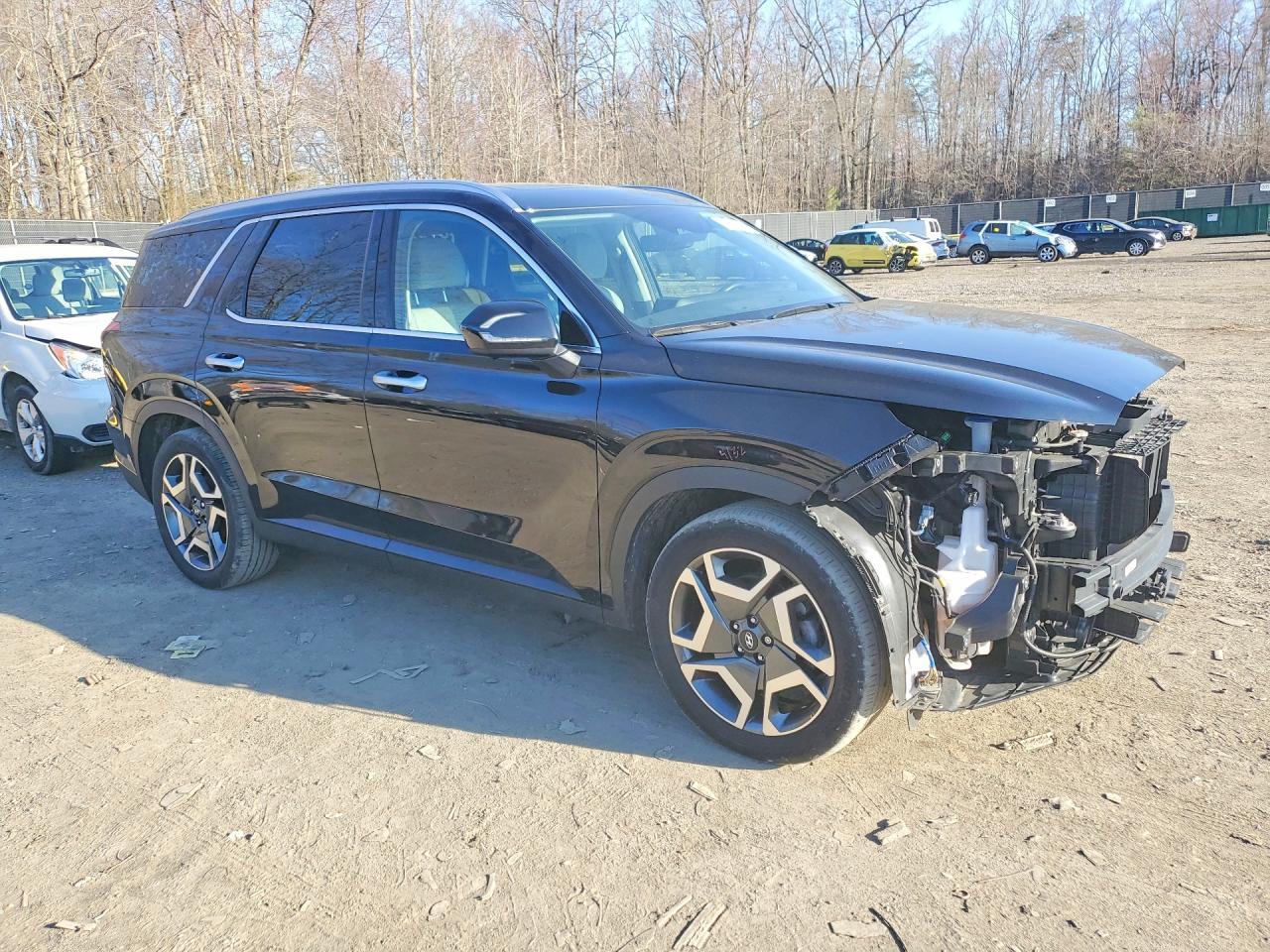 2024 Hyundai Palisade Sel - Фото 4