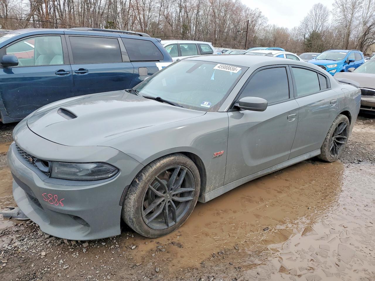 2019 Dodge Charger Scat Pack
