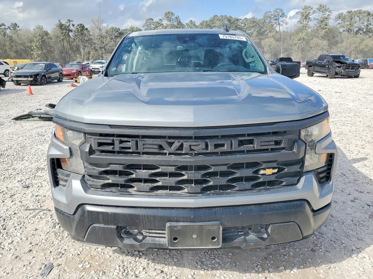 2023 Chevrolet Silverado K1500 - Фото 5