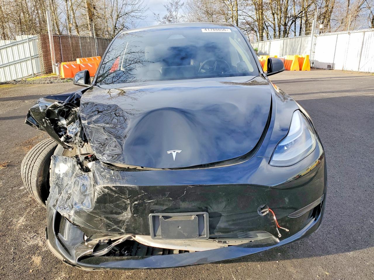 2025 Tesla Model Y - Фото 5