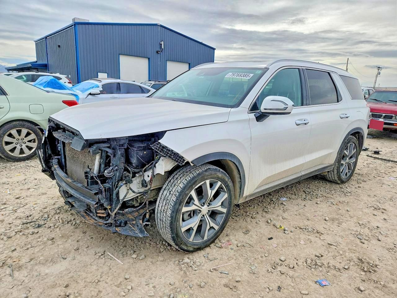2020 Hyundai Palisade Sel