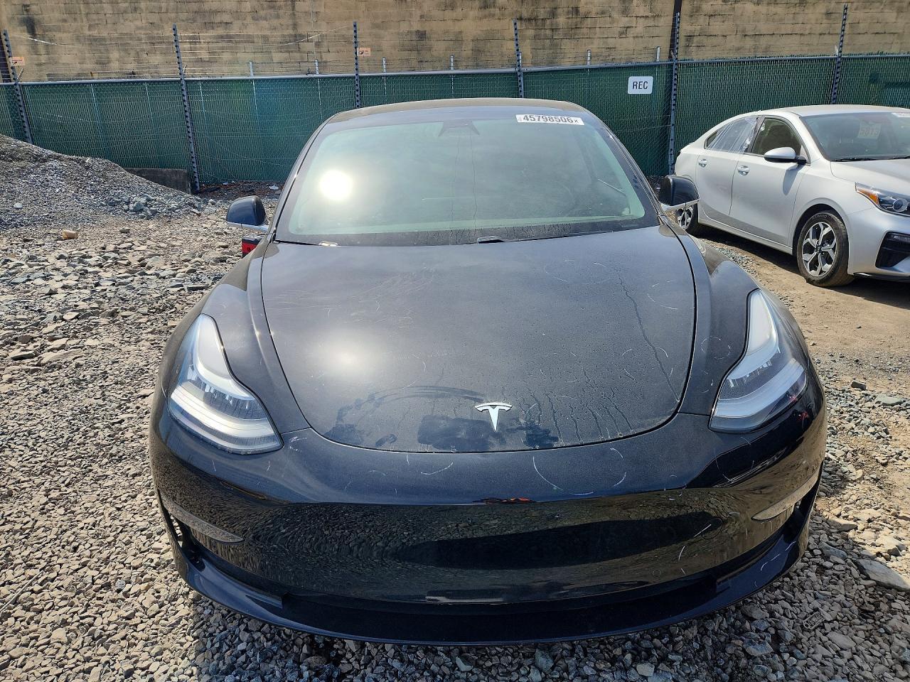 2019 Tesla Model 3 - Фото 5