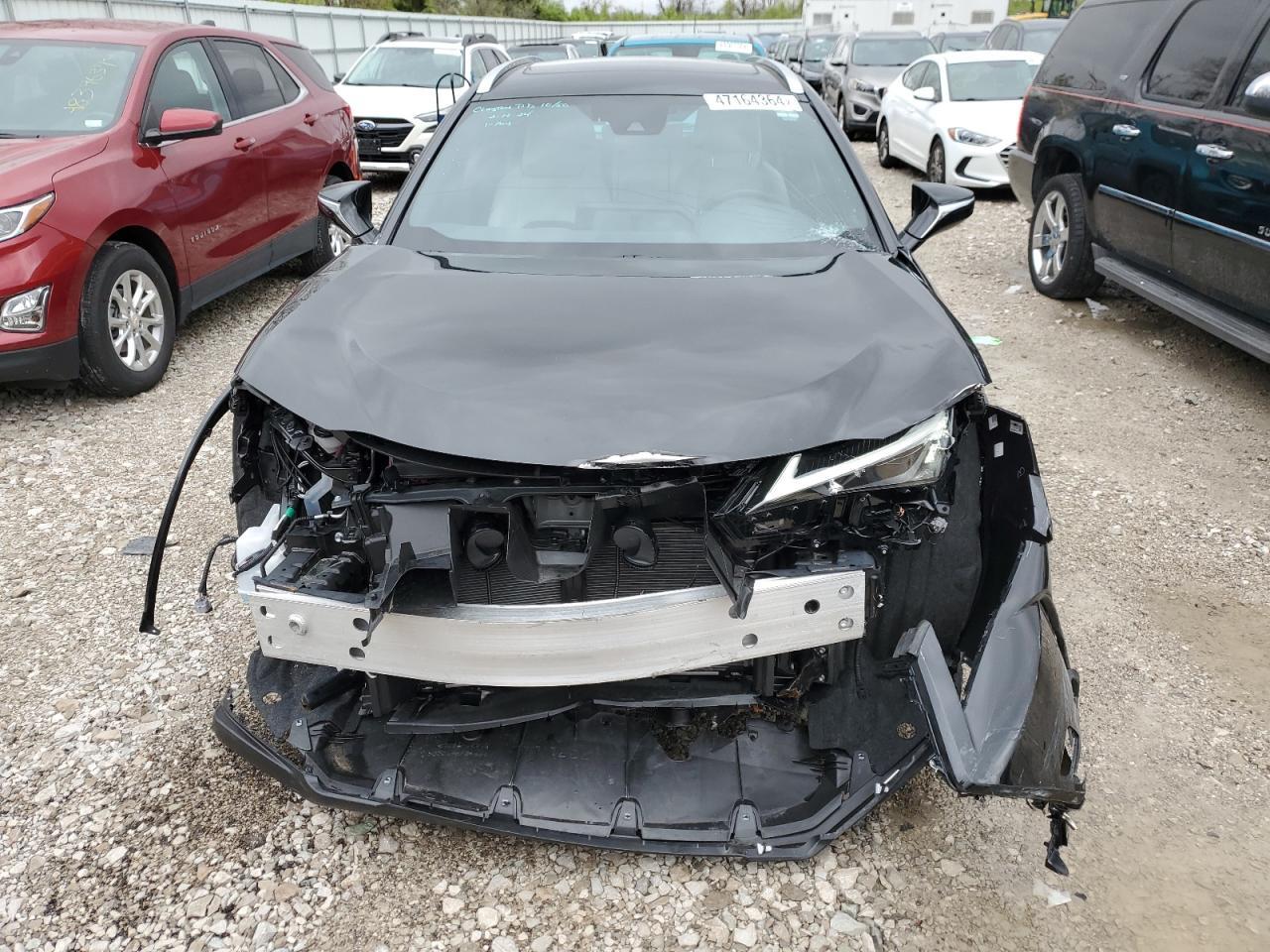 2024 Lexus Ux 250H Premium - Фото 5