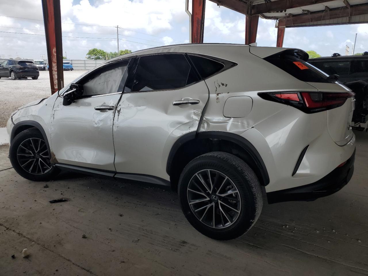 2025 Lexus Nx 250 Premium - Фото 2