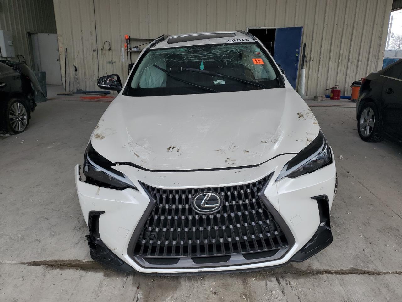2025 Lexus Nx 250 Premium - Фото 5