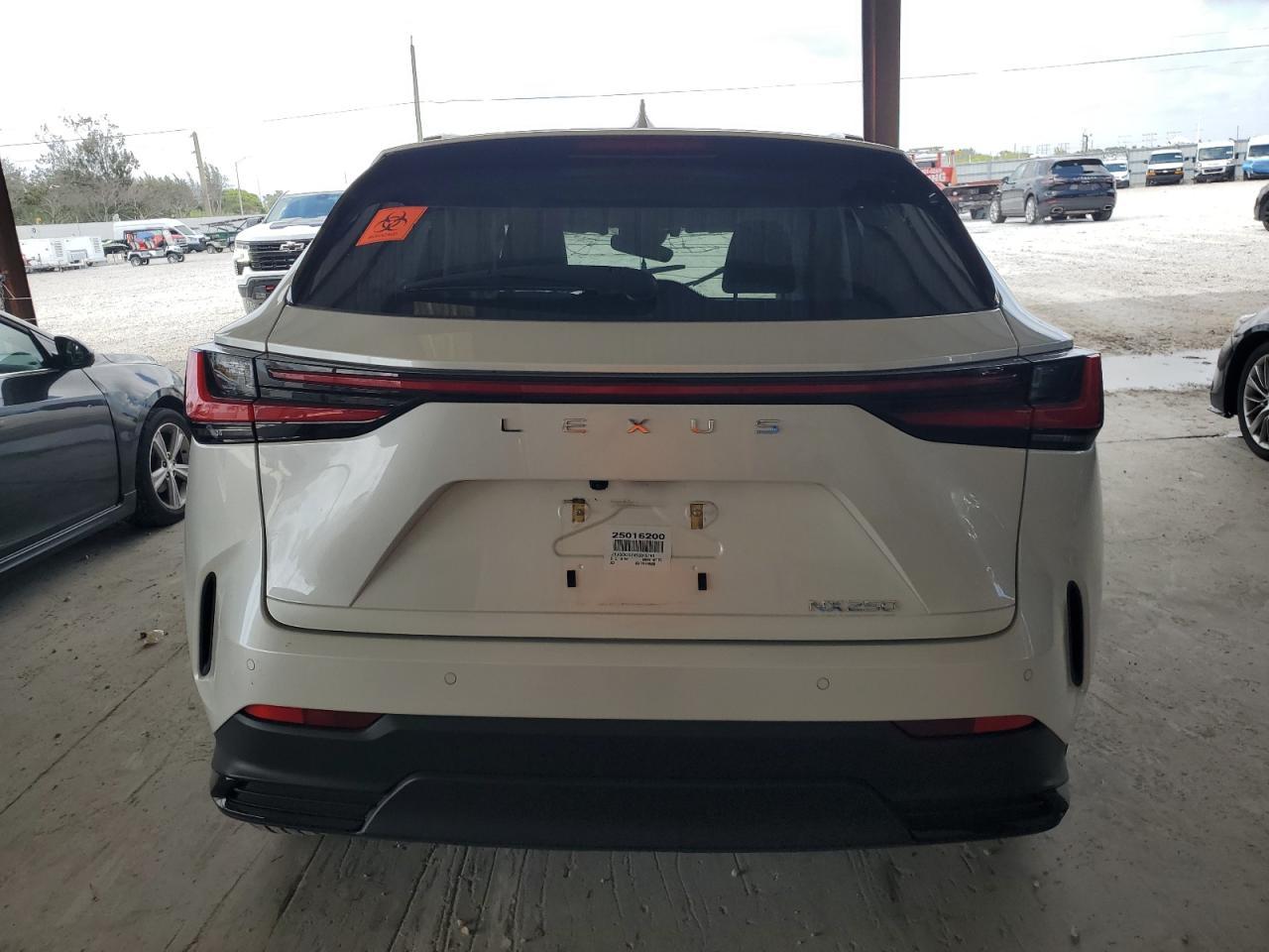 2025 Lexus Nx 250 Premium - Фото 6