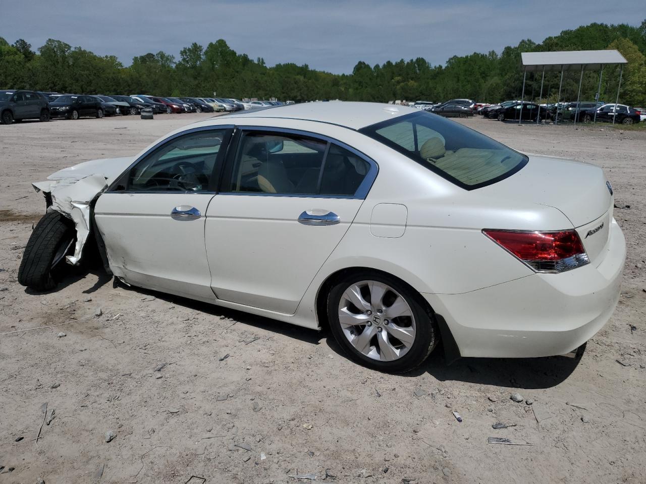 2010 Honda Accord Exl - Фото 2