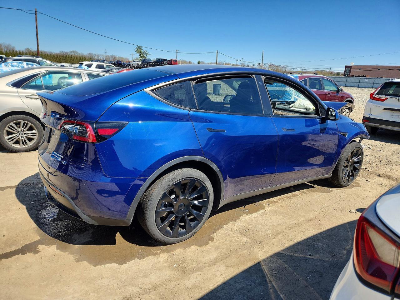 2023 Tesla Model Y - Фото 3