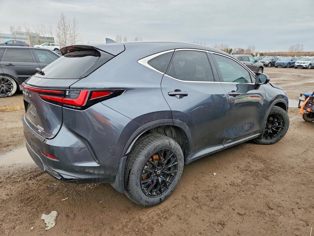 2025 Lexus Nx 350H Premium - Фото 3