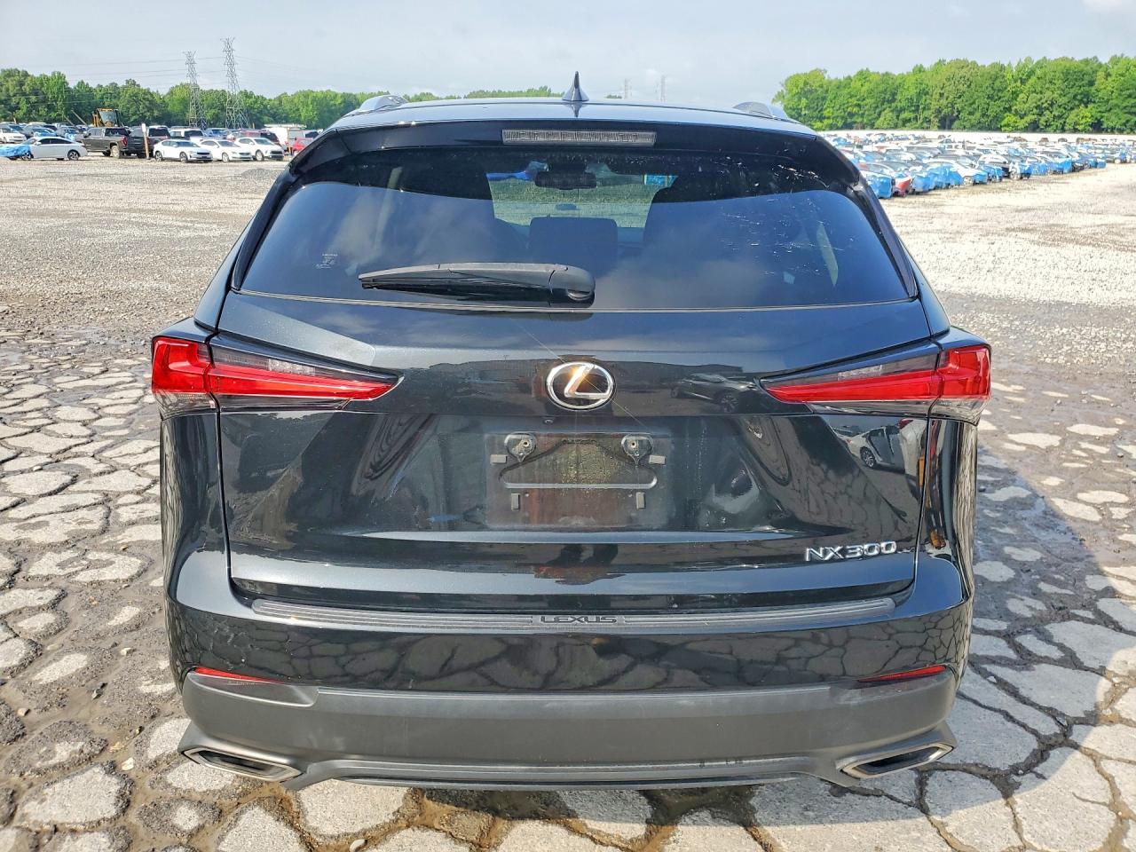 2019 Lexus Nx 300 Base - Фото 6