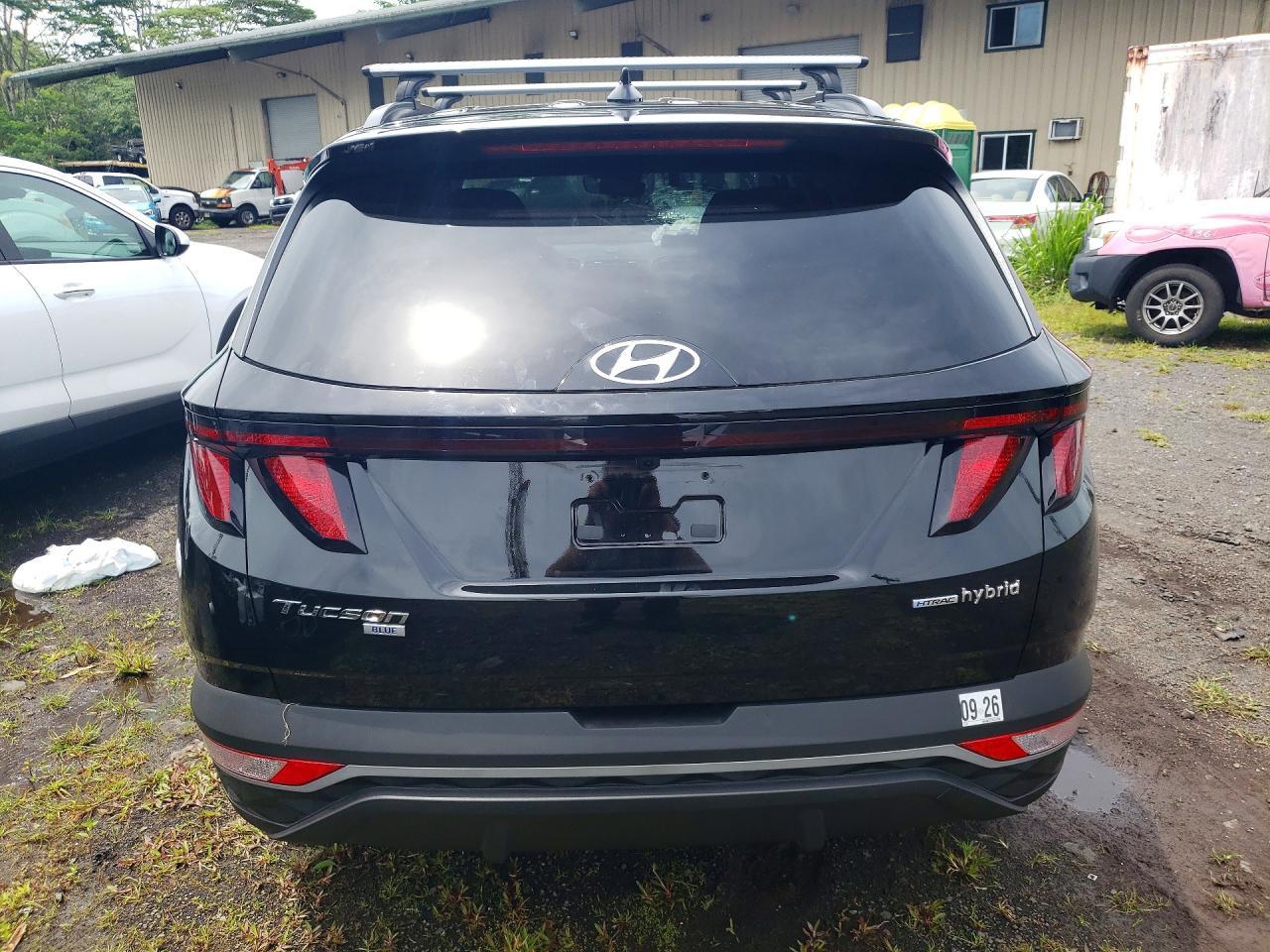 2024 Hyundai Tucson Blue - Фото 6