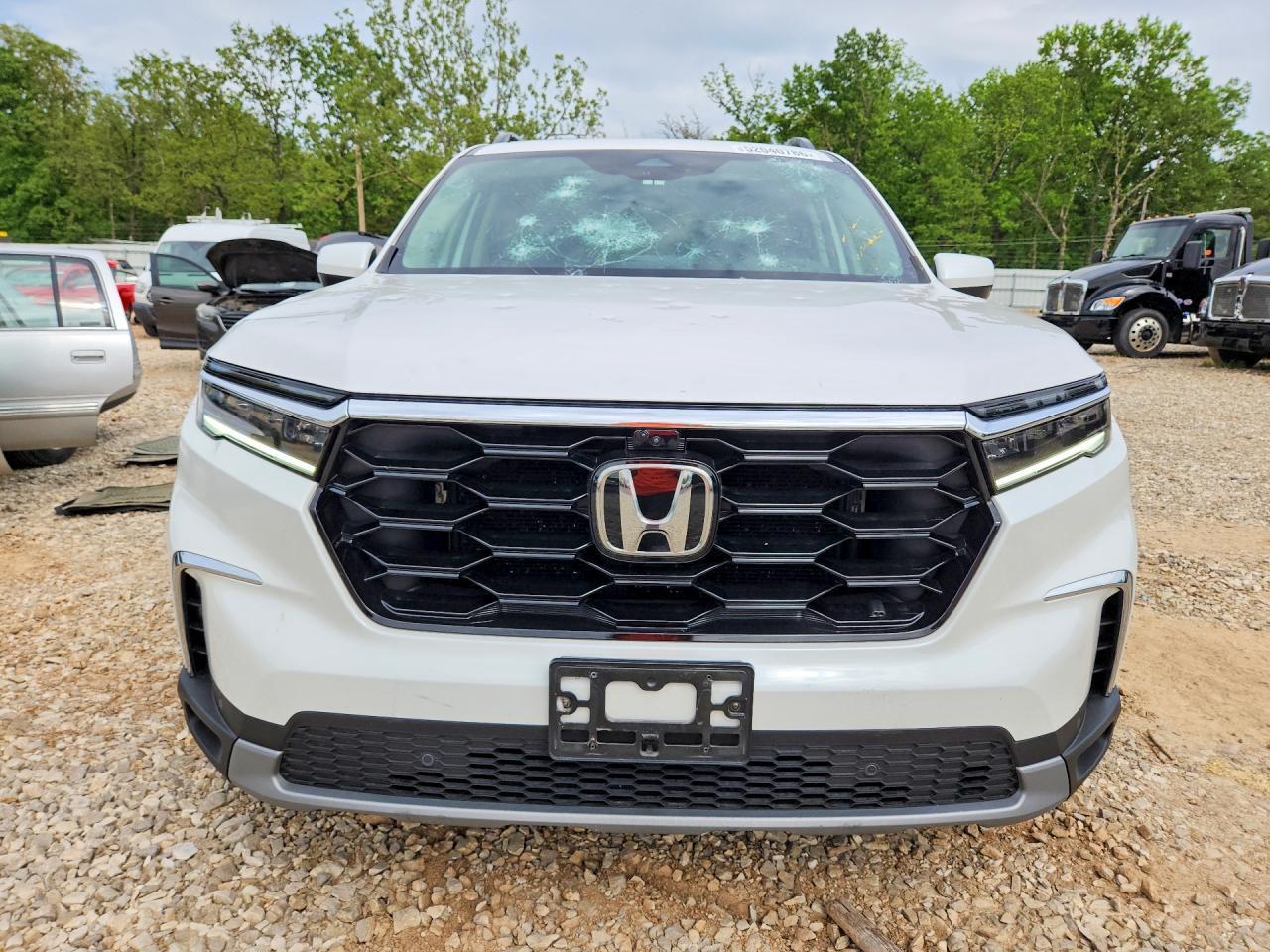 2024 Honda Pilot Elite - Image 5