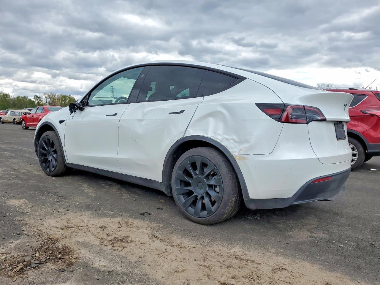 2025 Tesla Model Y - Фото 2