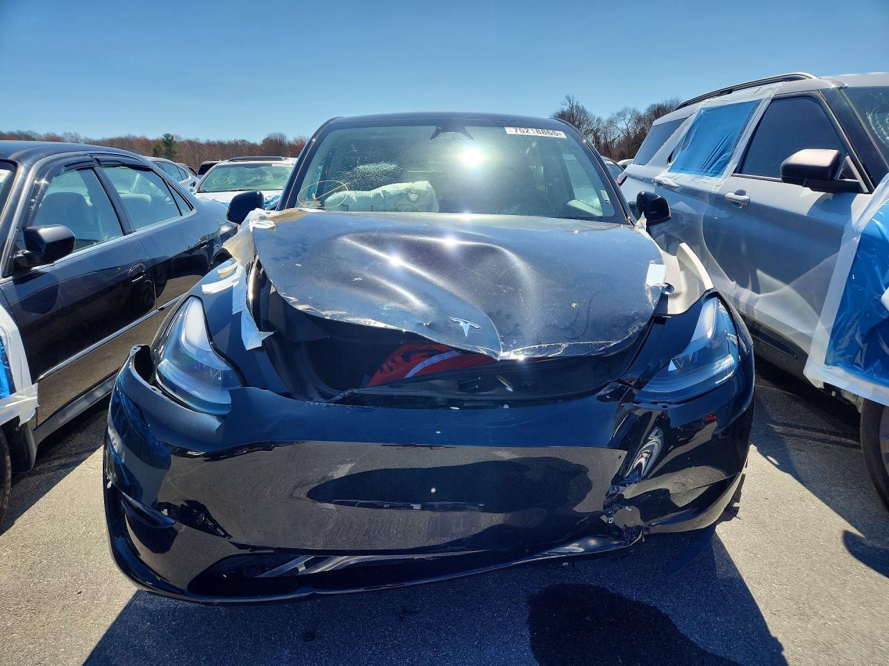 2025 Tesla Model Y - Image 5