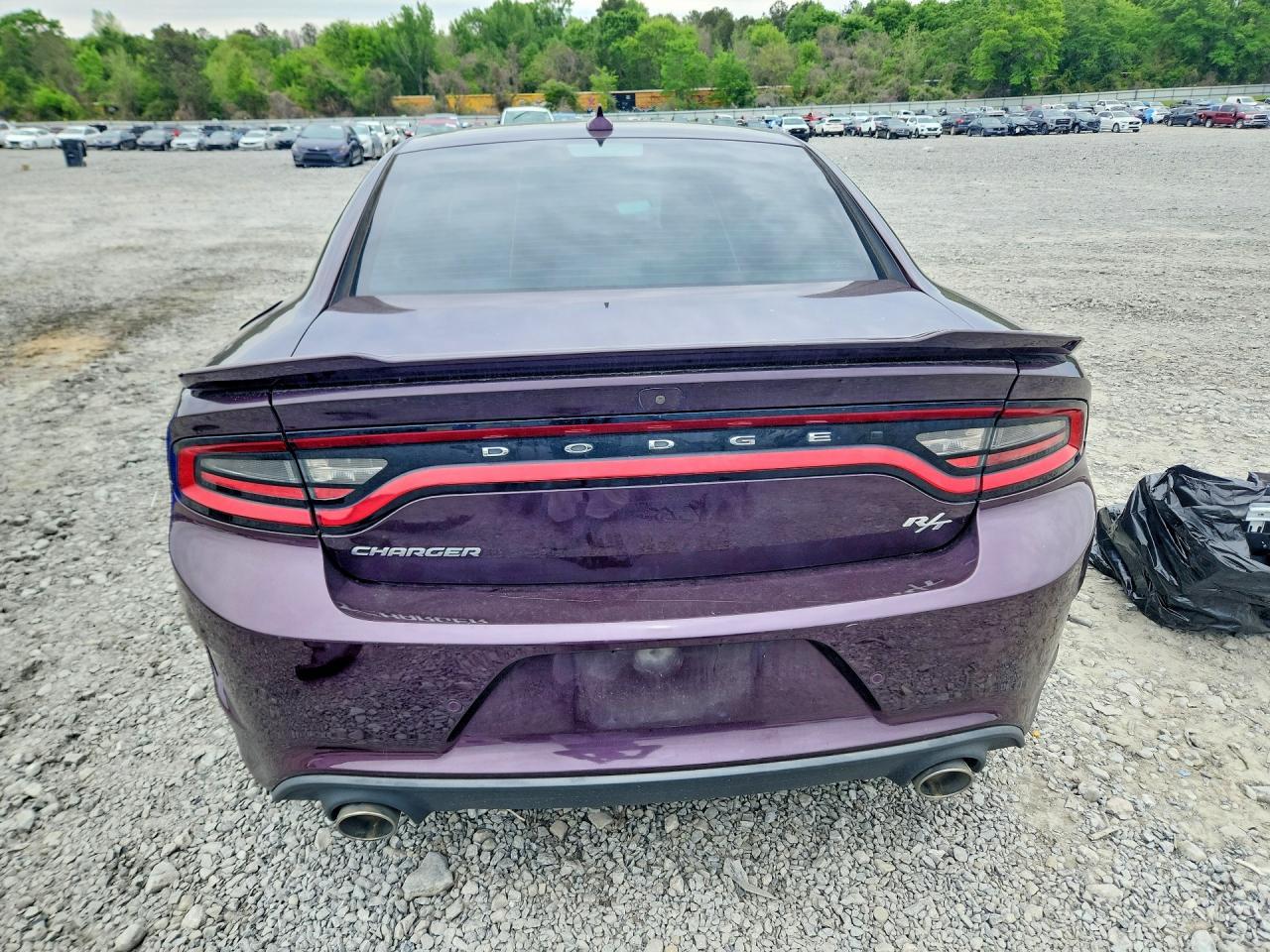 2020 Dodge Charger R - Фото 6