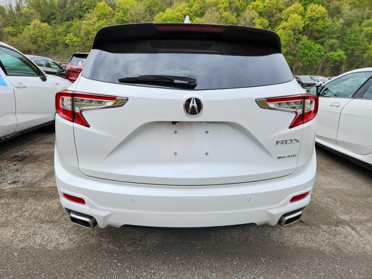 2025 Acura Rdx Advance - Фото 6