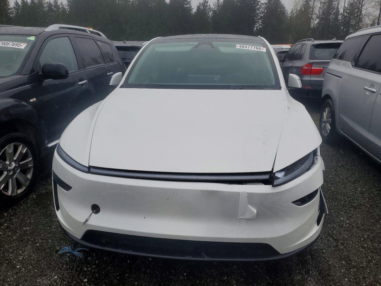 2026 Tesla Model Y - Image 5