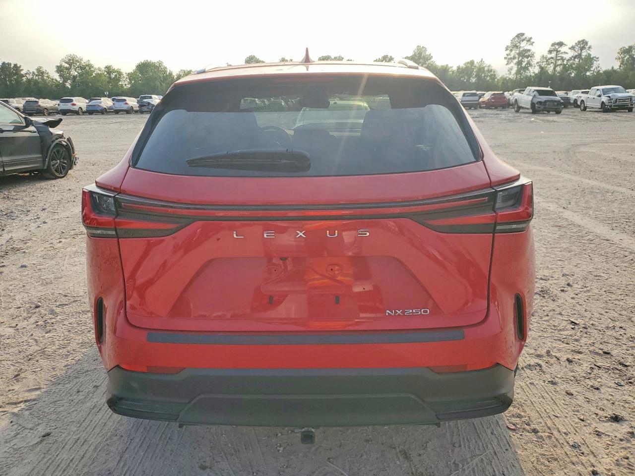 2024 Lexus Nx 250 Base - Фото 6