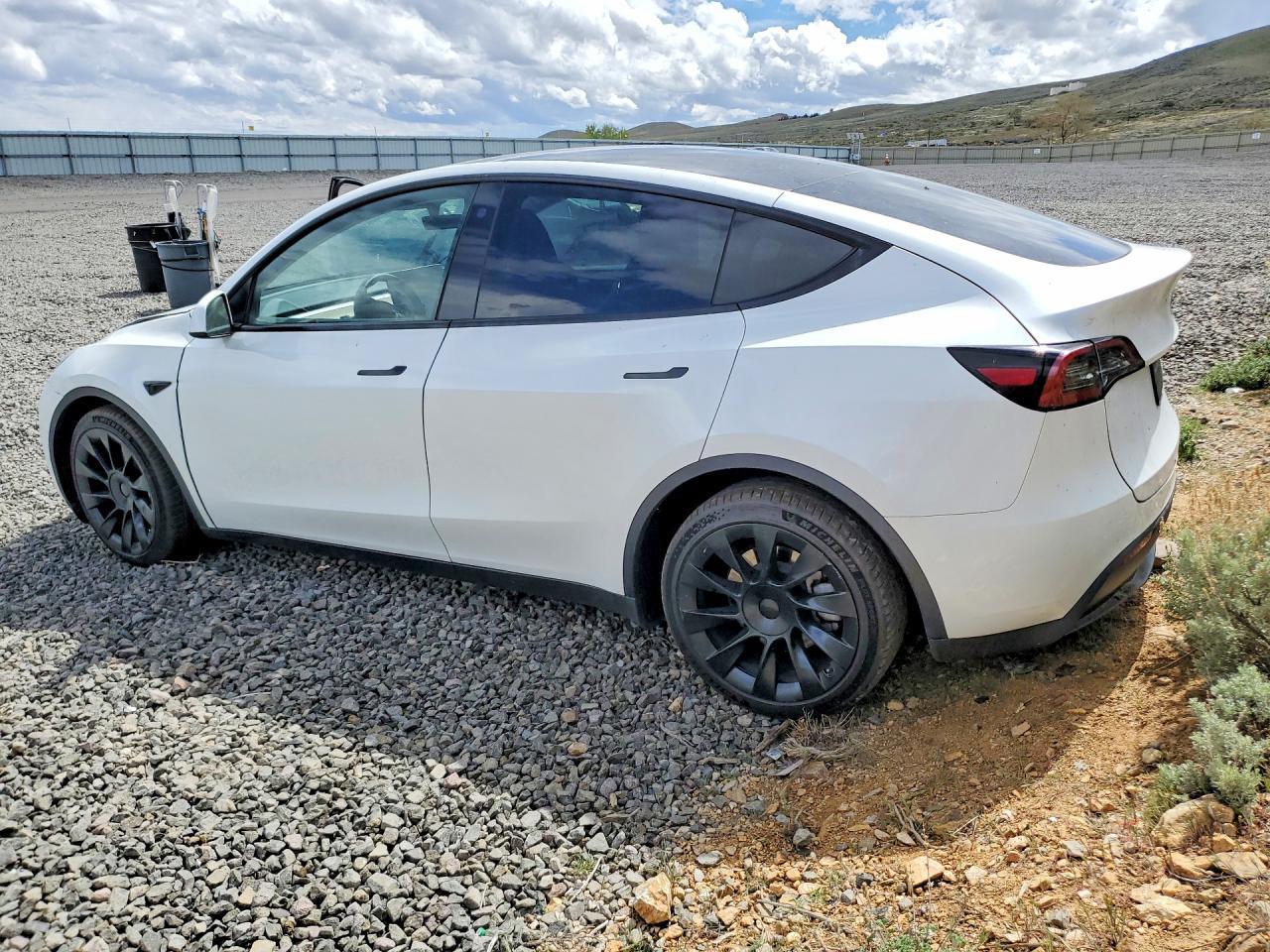 2023 Tesla Model Y - Фото 2