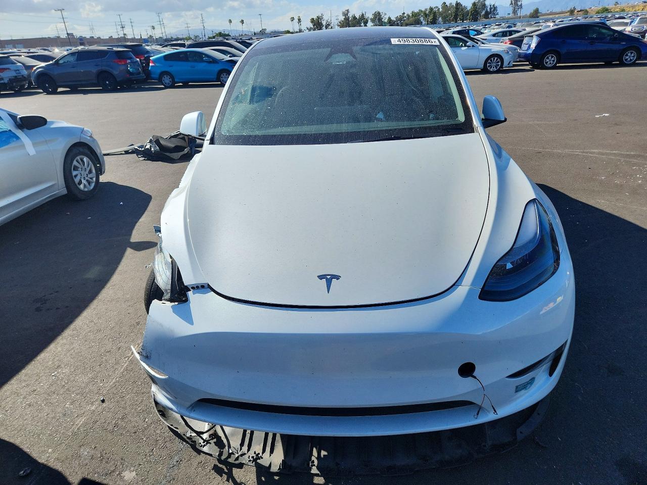 2025 Tesla Model Y - Image 5