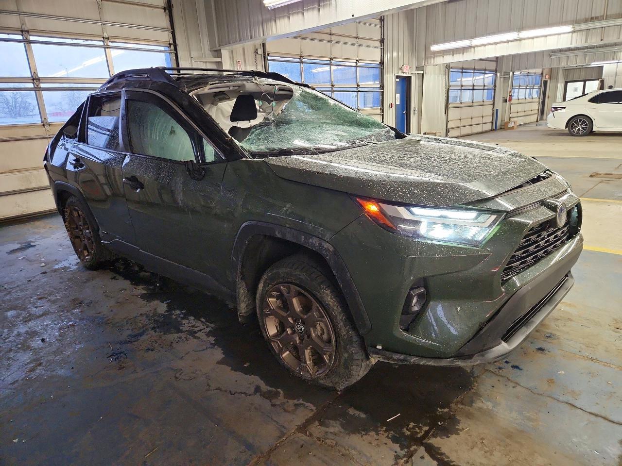 2024 Toyota Rav4 Hybrid Woodland Edition - Фото 4