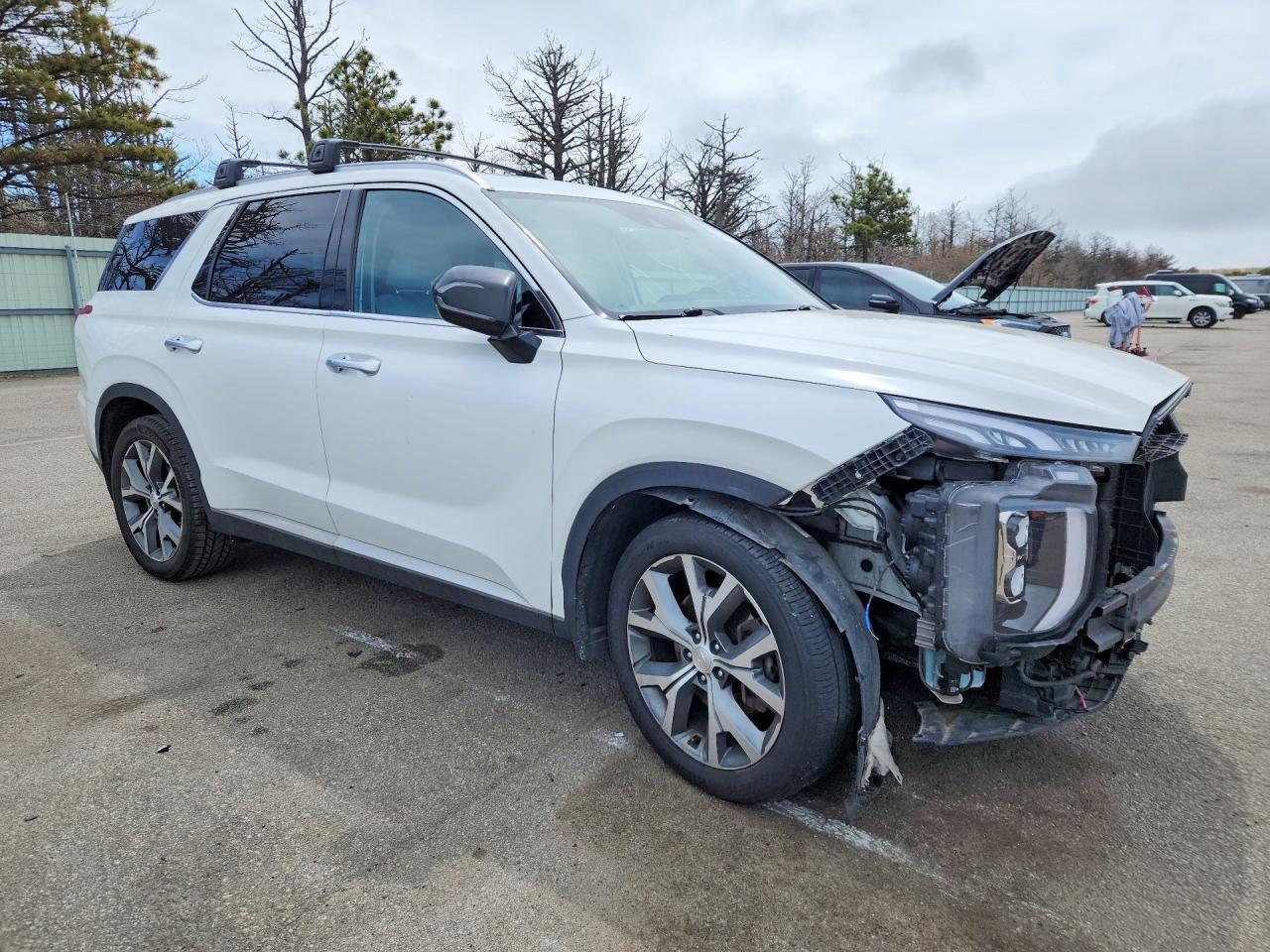 2021 Hyundai Palisade Sel - Фото 4