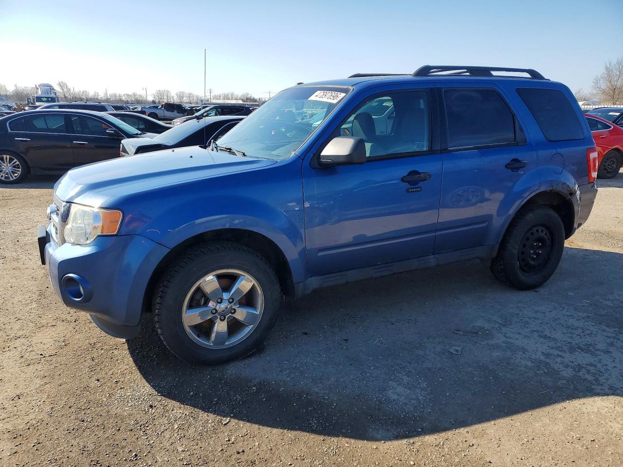 2010 Ford Escape Xlt