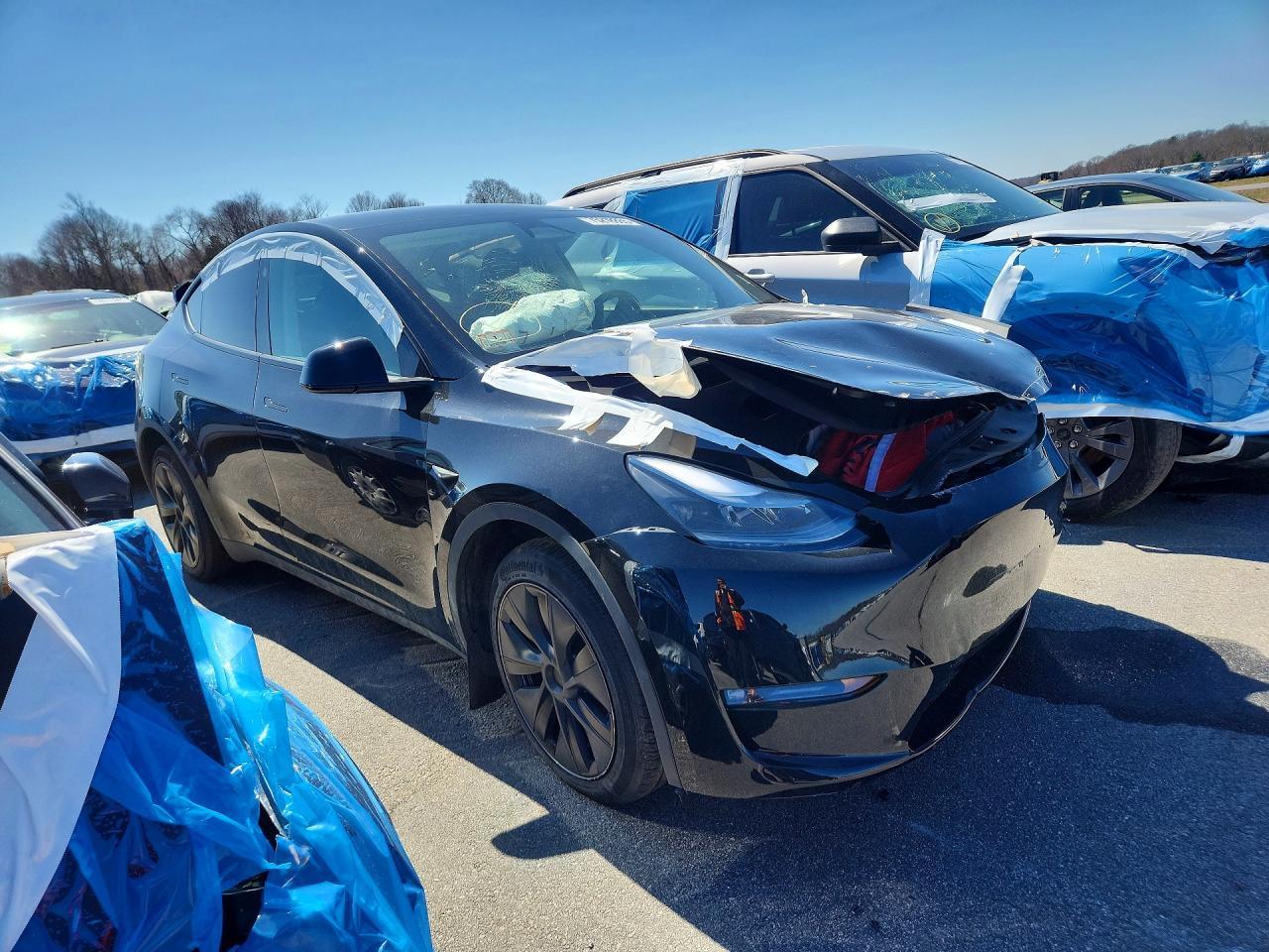 2025 Tesla Model Y - Image 4