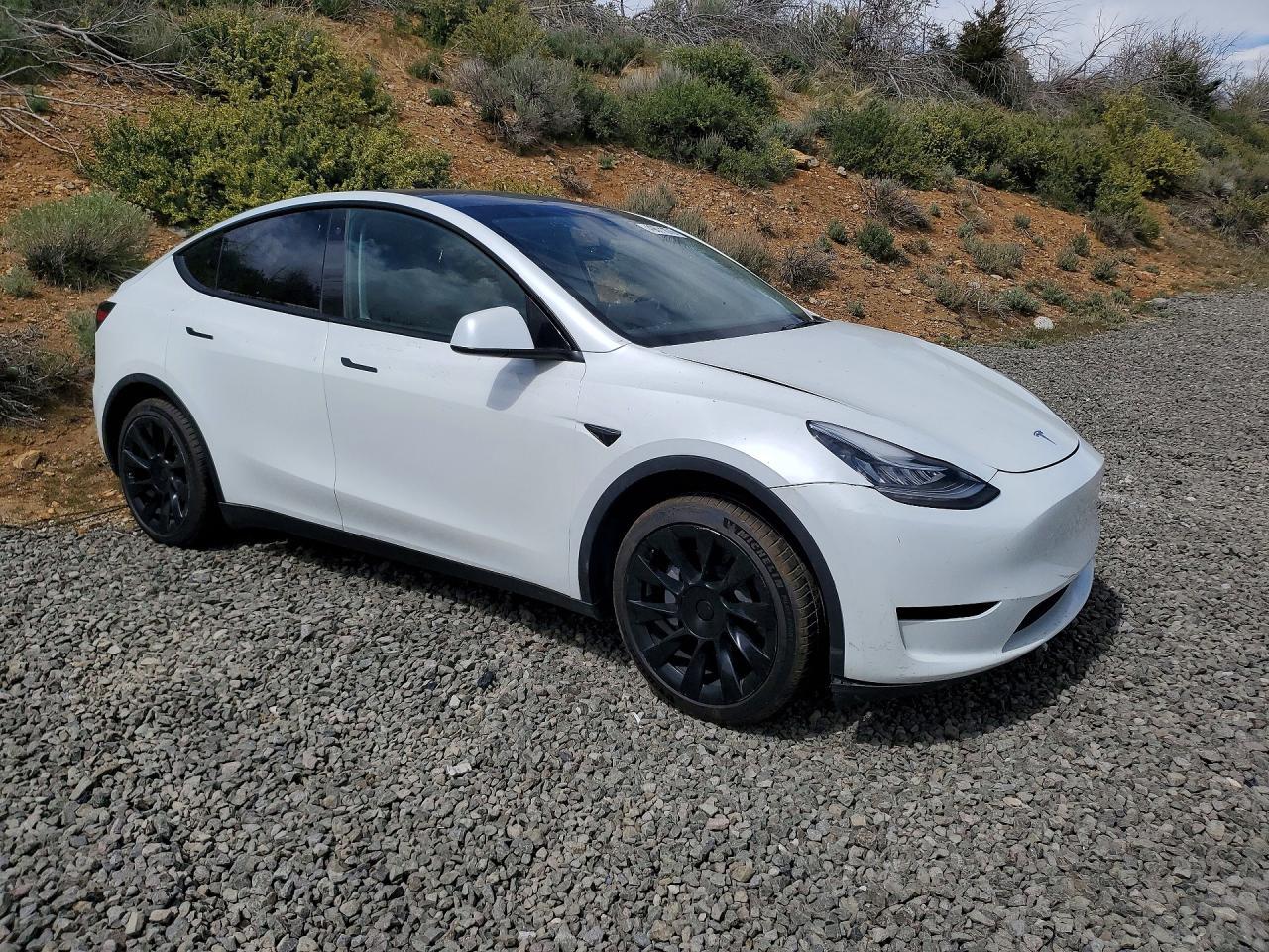 2023 Tesla Model Y - Фото 4