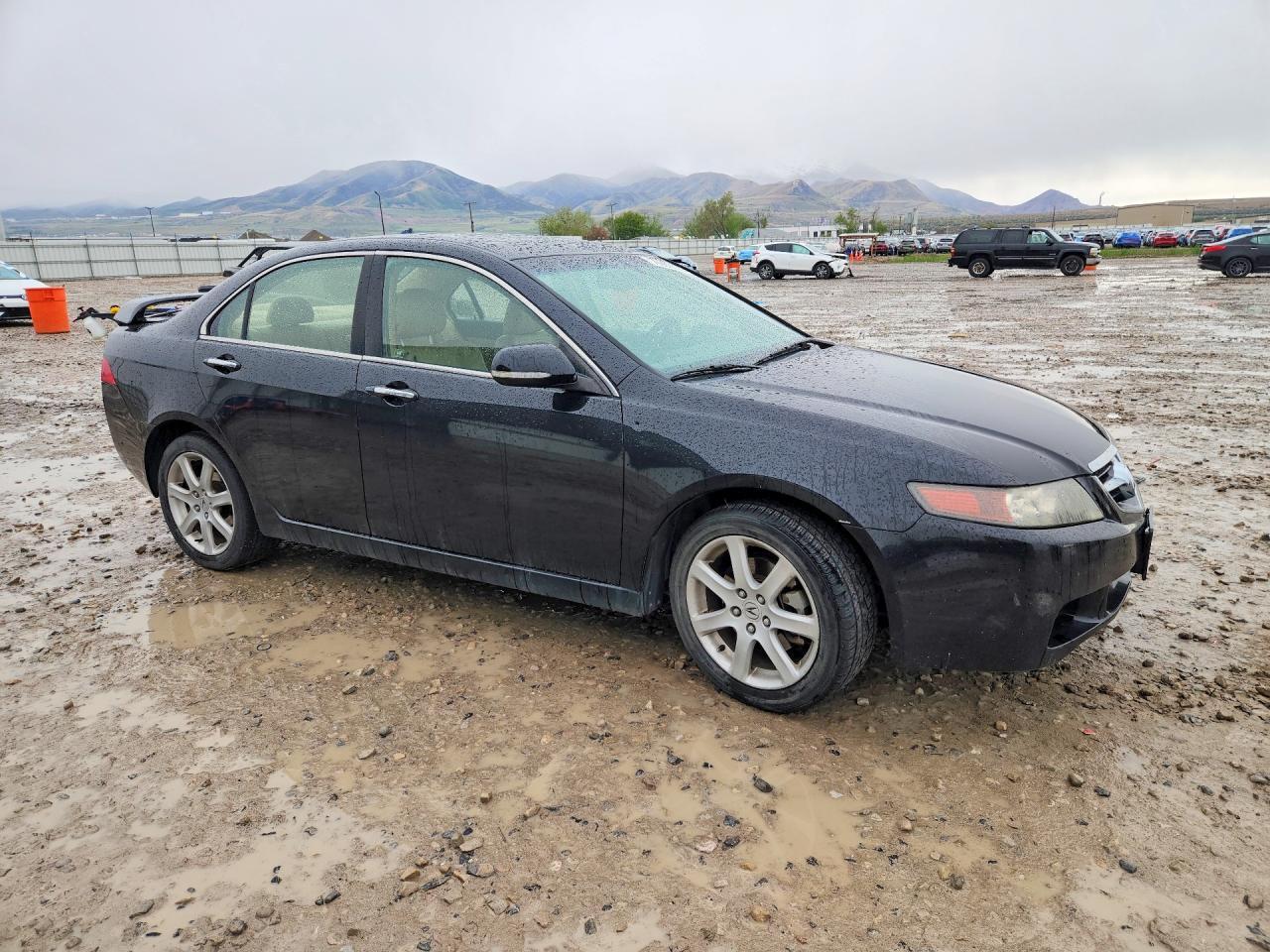 2005 Acura Tsx - Image 4