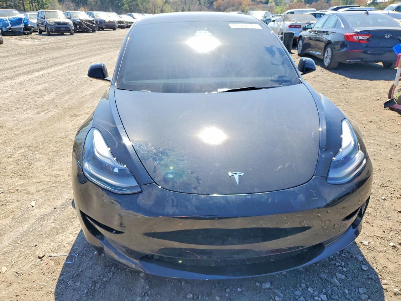 2023 Tesla Model 3 - Фото 5