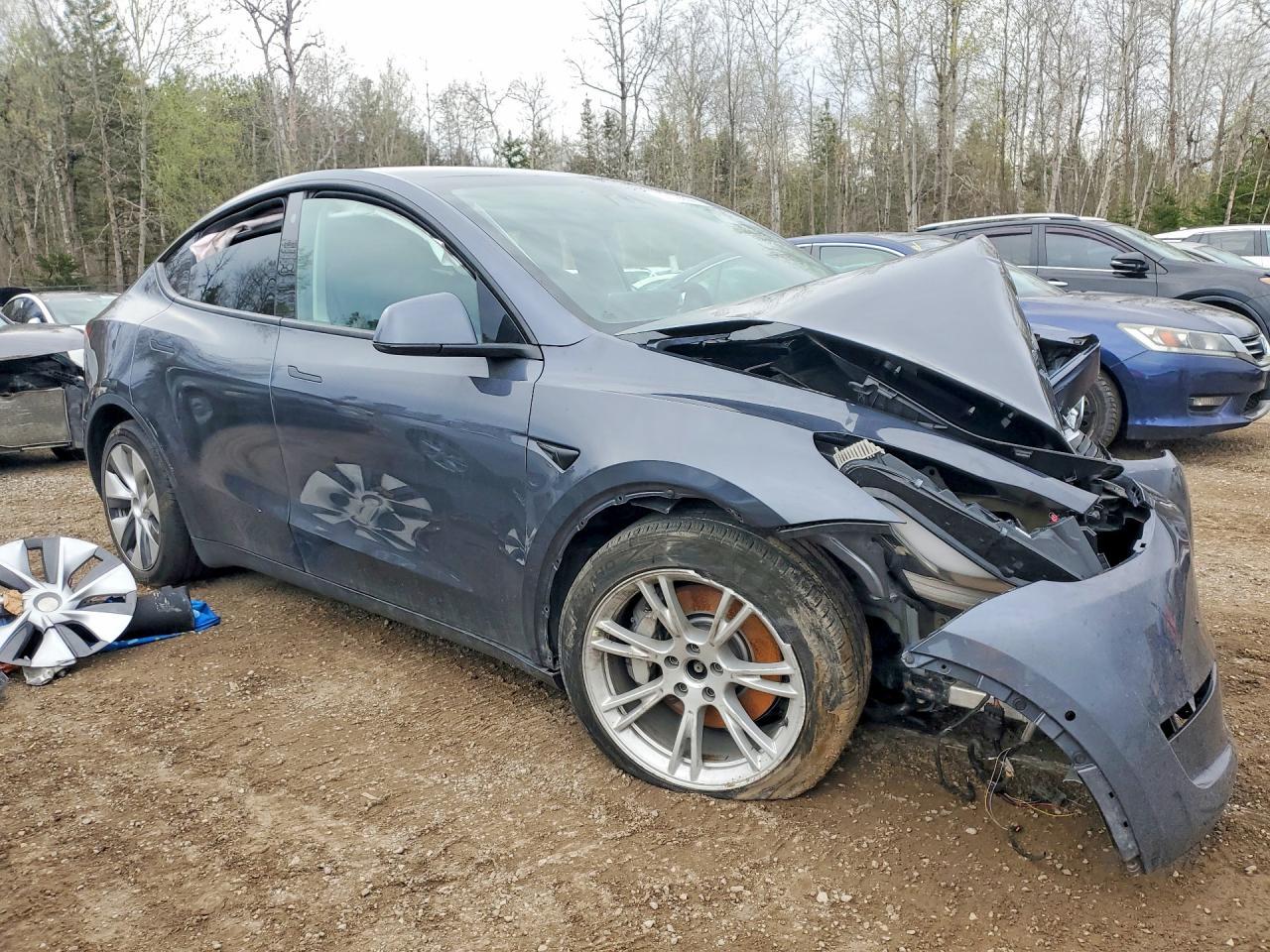 2022 Tesla Model Y - Фото 4