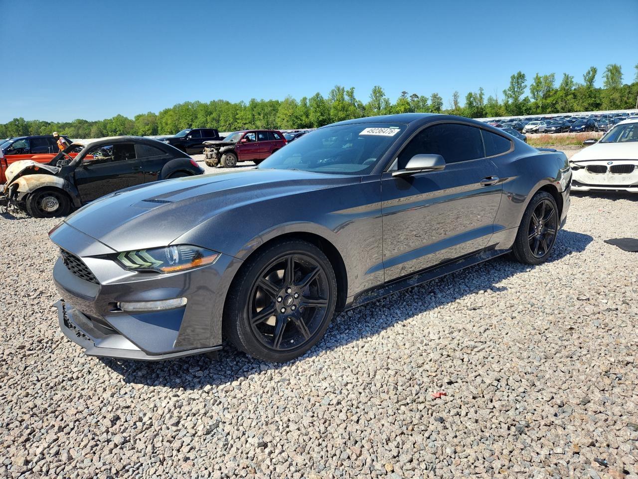 2019 Ford Mustang