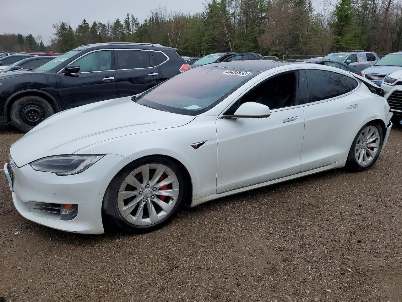 2019 Tesla Model S
