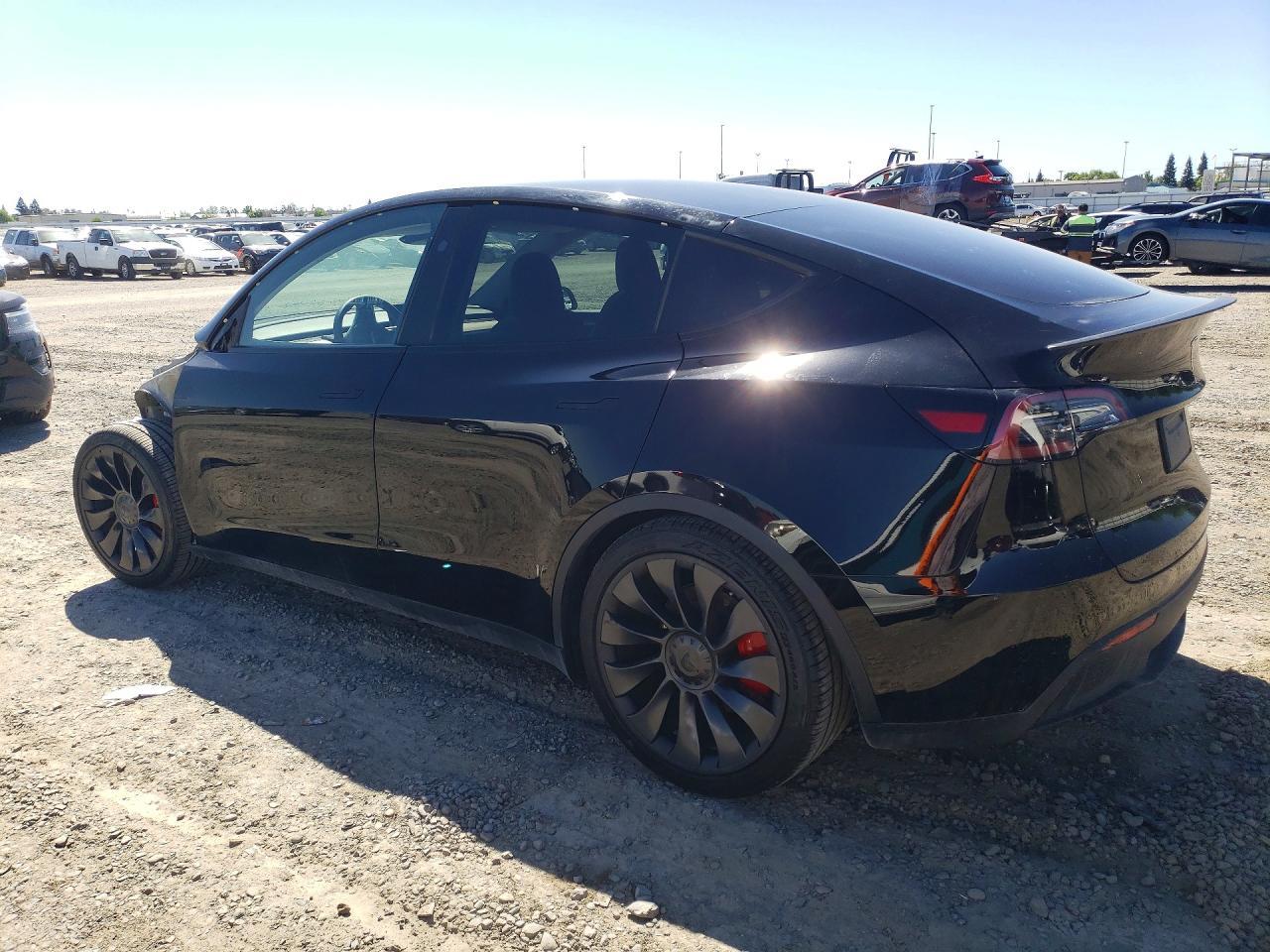 2024 Tesla Model Y - Фото 2