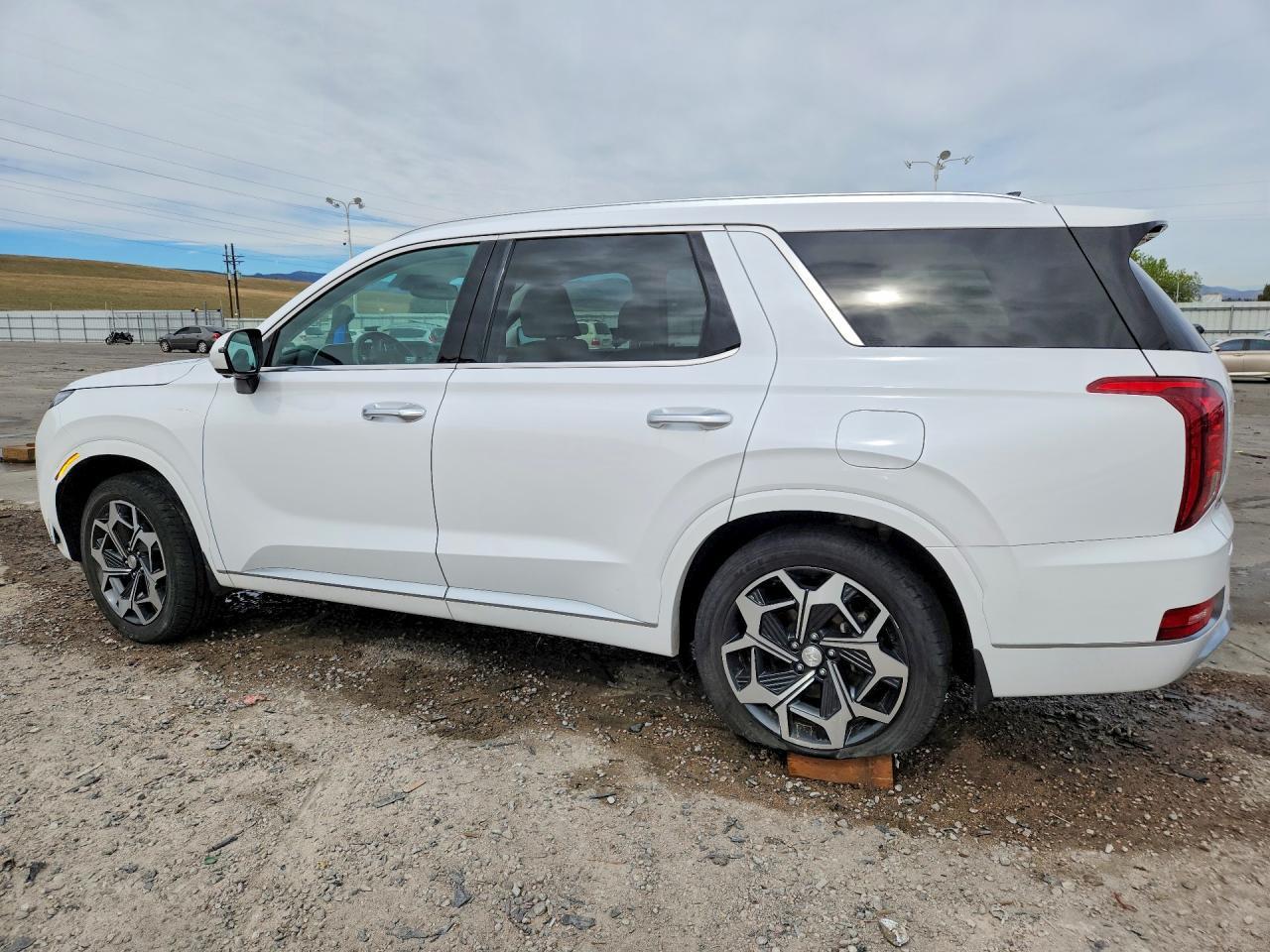 2021 Hyundai Palisade Calligraphy - Image 2