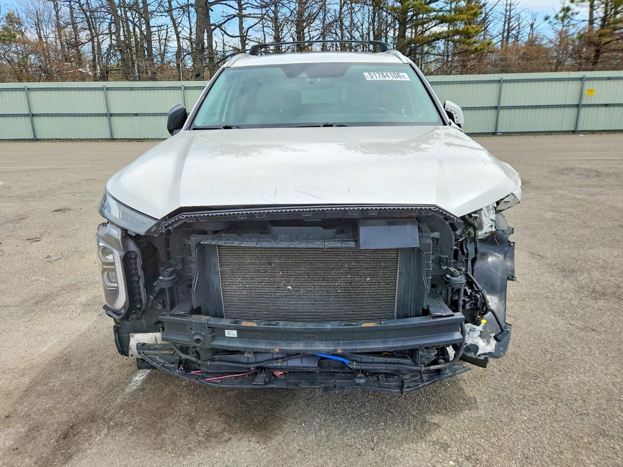 2021 Hyundai Palisade Sel - Фото 5