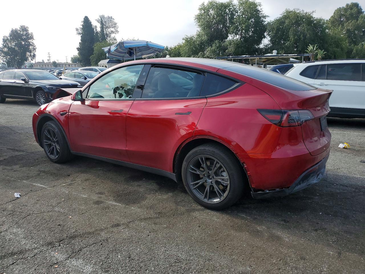 2024 Tesla Model Y - Фото 2