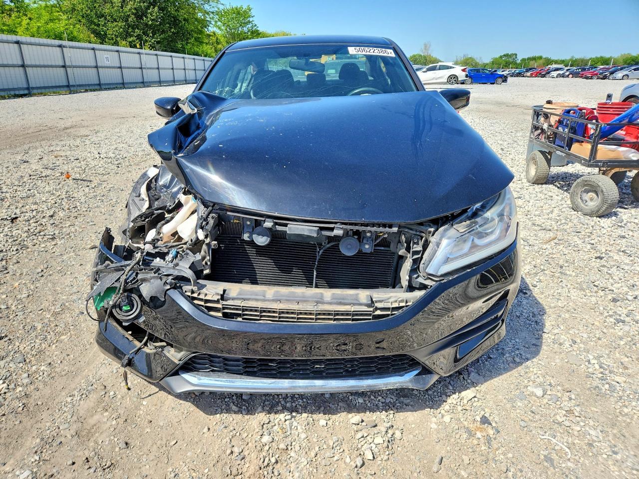 2017 Honda Accord Sport Special Edition - Фото 5